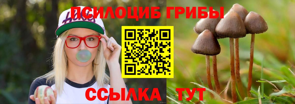 Алексеевка  Галлюциногенные грибы MAGIC MUSHROOMS  Вход с VPN 